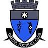 Darvel badge